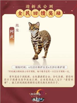 私服天龙八部账号锁定